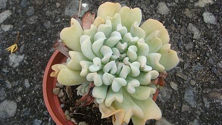 DSC00534.JPG DSC00534.JPG