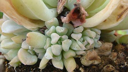 DSC00541.JPG DSC00541.JPG