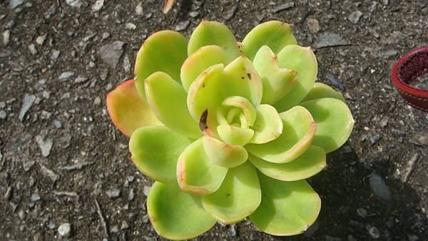 1024 (1).JPG 1024 (1).JPG