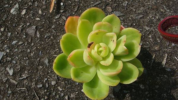 1024 (2).JPG 1024 (2).JPG