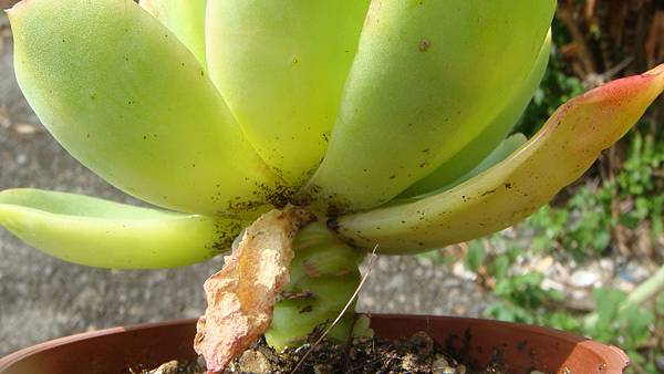 1024 (3).JPG 1024 (3).JPG