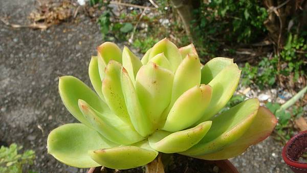 1024 (4).JPG 1024 (4).JPG