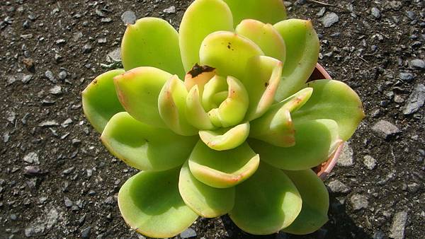 1027 (1).JPG 1027 (1).JPG