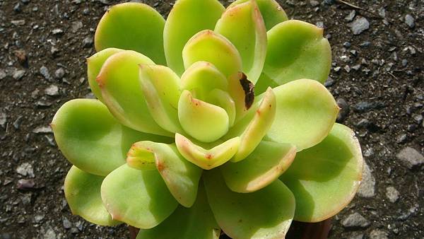 1027 (3).JPG 1027 (3).JPG