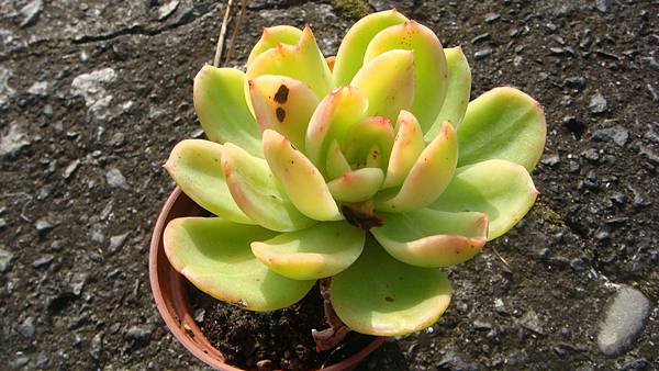 1104 (1).JPG 1104 (1).JPG