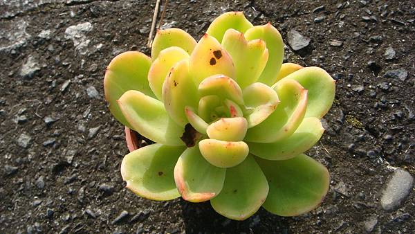 1104 (2).JPG 1104 (2).JPG