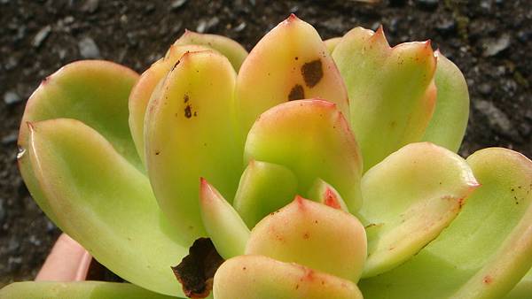 1104 (3).JPG 1104 (3).JPG