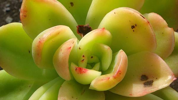 1104 (4).JPG 1104 (4).JPG