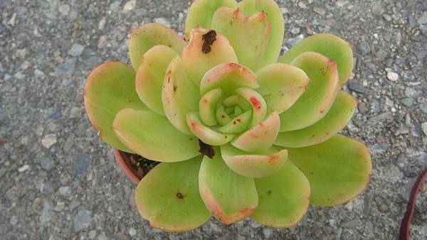 1109 (1).JPG 1109 (1).JPG