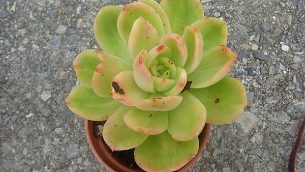 1109 (2).JPG 1109 (2).JPG