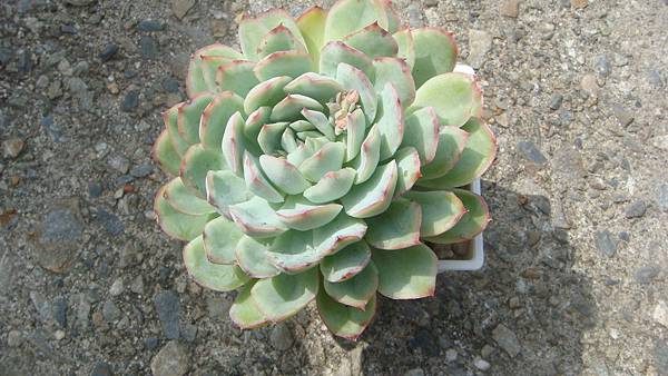 1024 (1).JPG 1024 (1).JPG