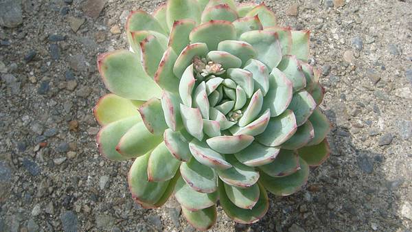 1024 (2).JPG 1024 (2).JPG