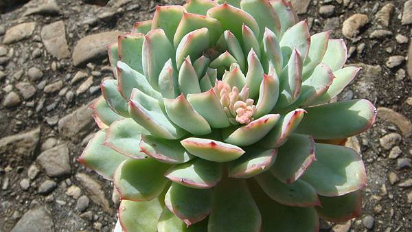 1027 (2).JPG 1027 (2).JPG