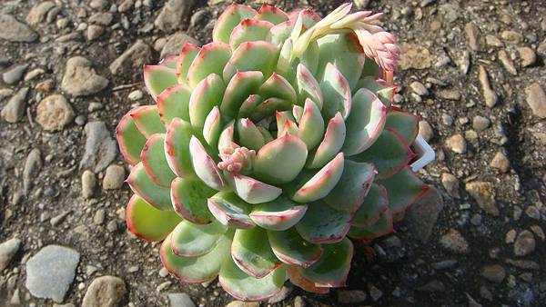 1104 (1).JPG 1104 (1).JPG