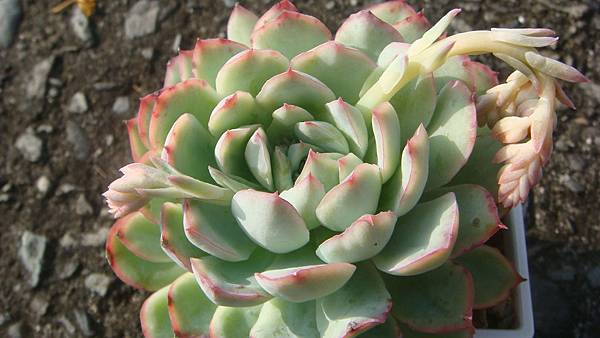 1107 (3).JPG 1107 (3).JPG