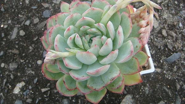 1109 (1).JPG 1109 (1).JPG