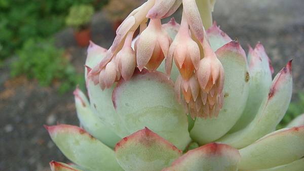 1109 (4).JPG 1109 (4).JPG