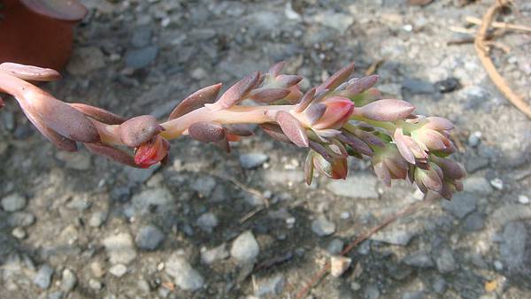 1024 (1).JPG 1024 (1).JPG