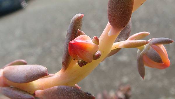 1024 (2).JPG 1024 (2).JPG