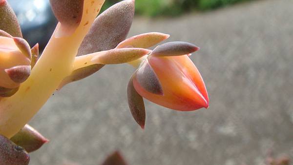 1024 (3).JPG 1024 (3).JPG