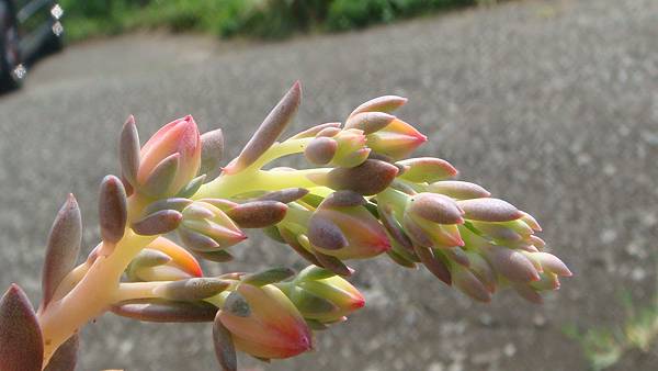 1024 (4).JPG 1024 (4).JPG