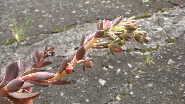 1024 (5).JPG 1024 (5).JPG