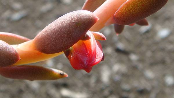 1027 (1).JPG 1027 (1).JPG