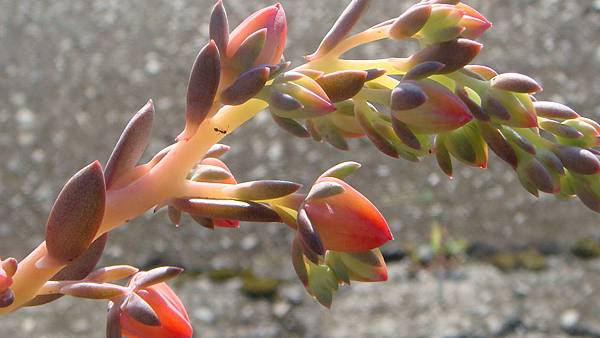 1027 (2).JPG 1027 (2).JPG