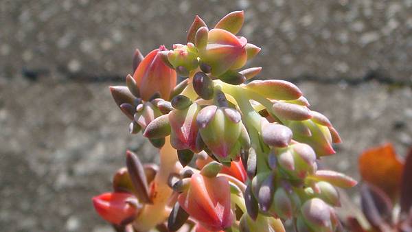 1027 (3).JPG 1027 (3).JPG