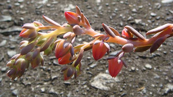 1027 (4).JPG 1027 (4).JPG