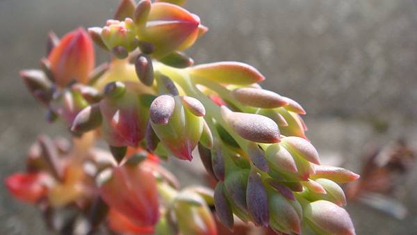 1027 (5).JPG 1027 (5).JPG