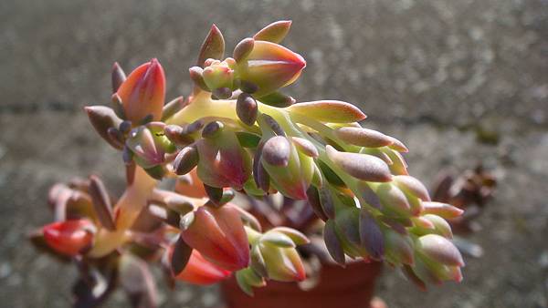 1027 (6).JPG 1027 (6).JPG