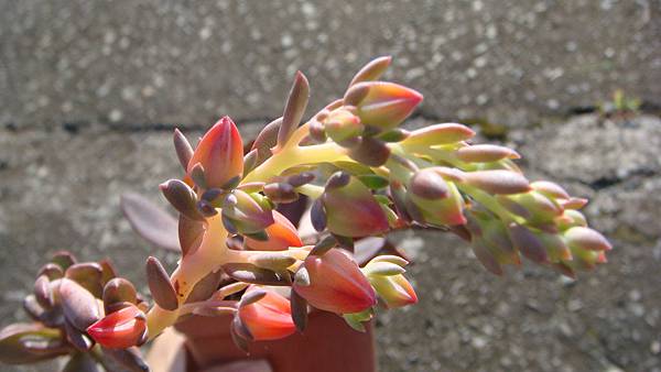 1027 (7).JPG 1027 (7).JPG