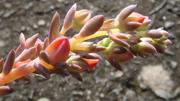 1027 (8).JPG 1027 (8).JPG