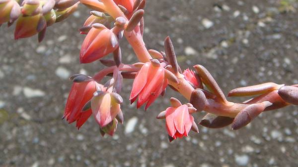 1030 (1).JPG 1030 (1).JPG