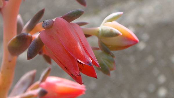 1030 (2).JPG 1030 (2).JPG