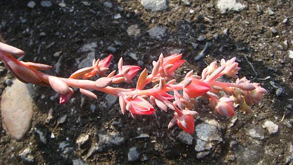 1104 (1).JPG 1104 (1).JPG