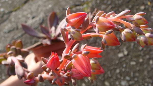 1104 (2).JPG 1104 (2).JPG