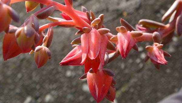 1104 (3).JPG 1104 (3).JPG