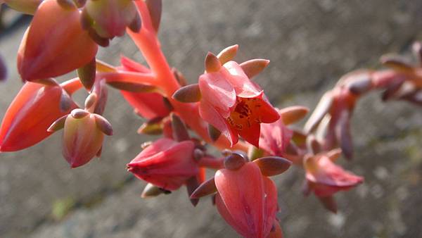 1104 (4).JPG 1104 (4).JPG