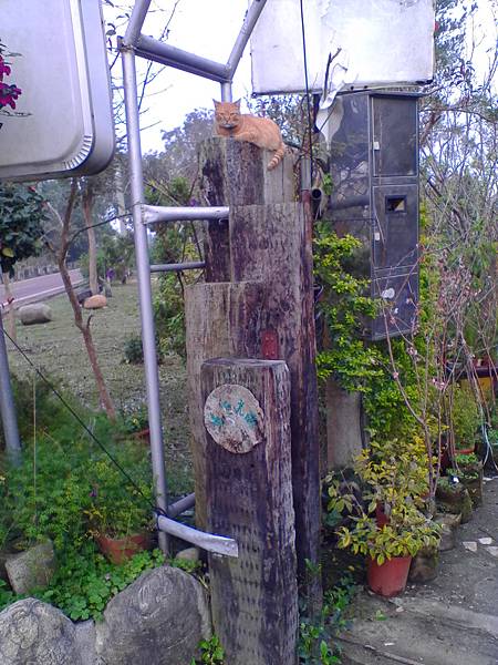 IMG_20160317_160931.jpg IMG_20160317_160931.jpg