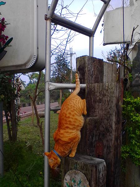 IMG_20160317_160936.jpg IMG_20160317_160936.jpg