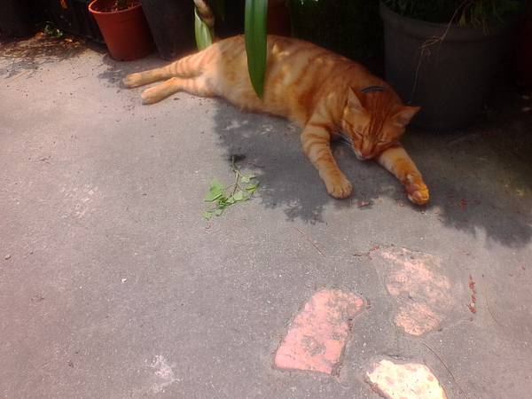 IMG_20160512_115144.jpg IMG_20160512_115144.jpg