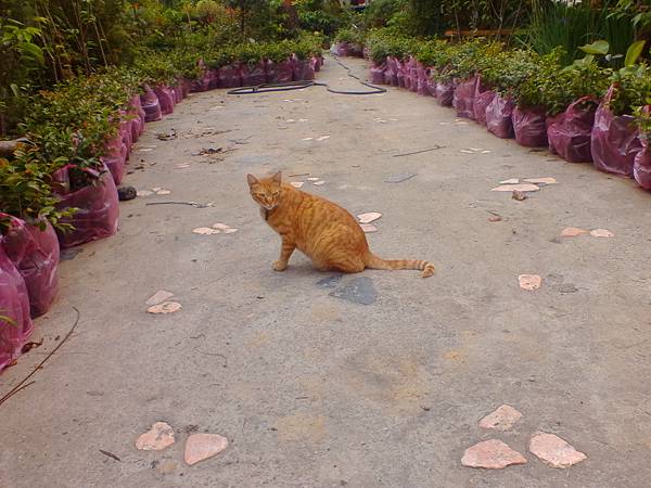 IMG_20160420_111935.jpg IMG_20160420_111935.jpg