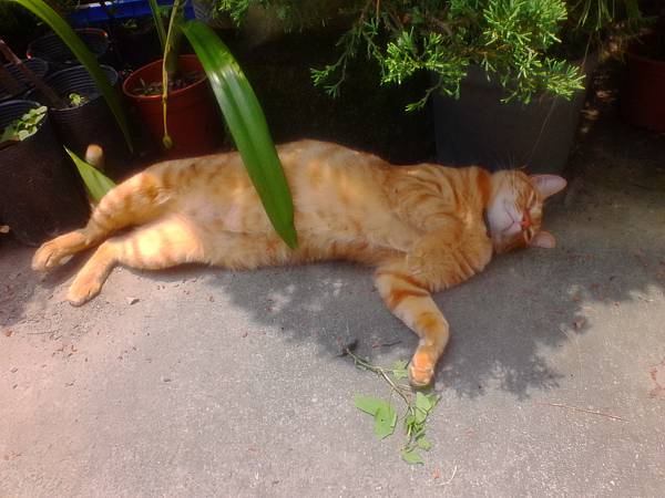 IMG_20160512_115150.jpg IMG_20160512_115150.jpg