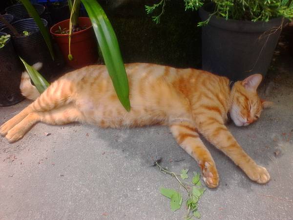 IMG_20160512_115155.jpg IMG_20160512_115155.jpg