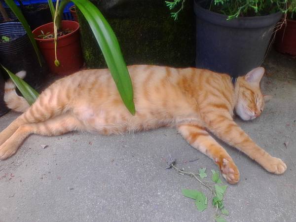 IMG_20160512_115209.jpg IMG_20160512_115209.jpg