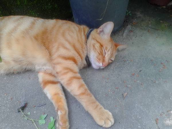 IMG_20160512_115227.jpg IMG_20160512_115227.jpg