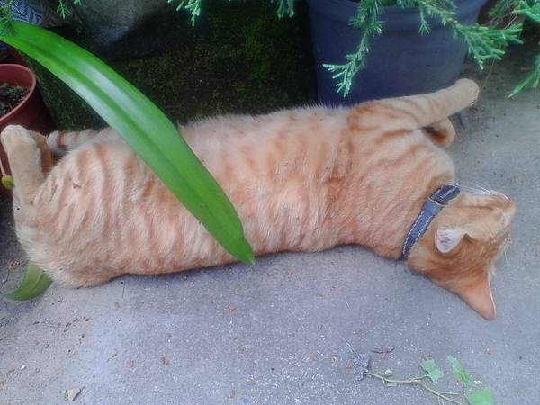 IMG_20160512_115629.jpg IMG_20160512_115629.jpg