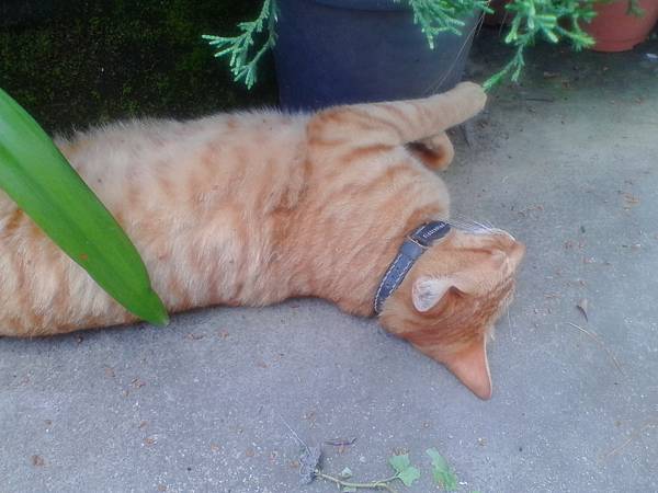 IMG_20160512_115637.jpg IMG_20160512_115637.jpg